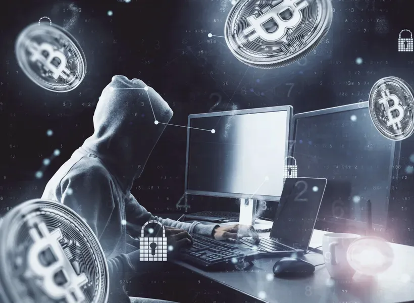 Qarfina ambiente de investimento